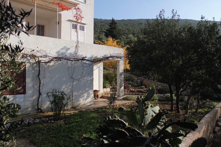Studio flat near beach Cove Pokrivenik, Hvar (AS-5231-c)