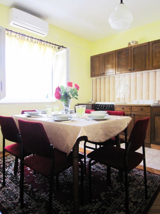 Ruža 4+1 (1003-RVR)