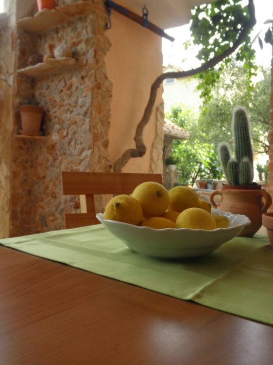 Nevo A2+2 no.1 (1009-MVF)