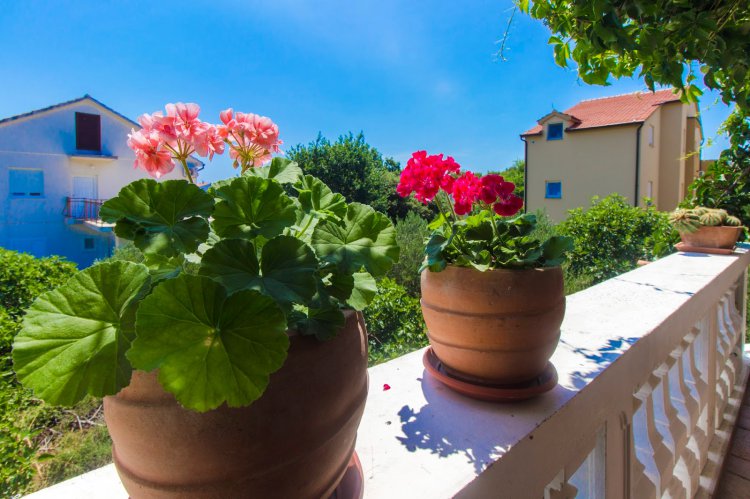 Nevo A4+2 no.2 (1009-MVF)