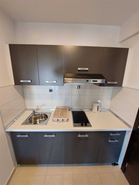 Daniel Studio no.4 (1012-DVS)