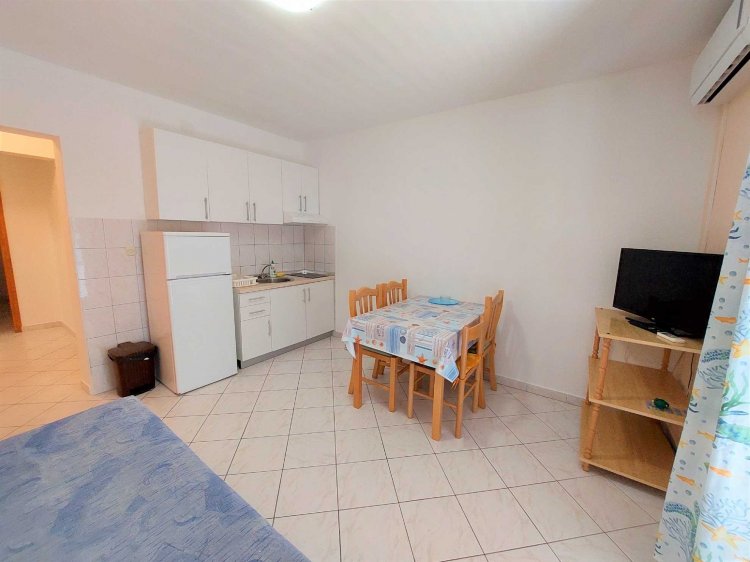 Neva A2+2 no.3 (1014-AVN-A3)