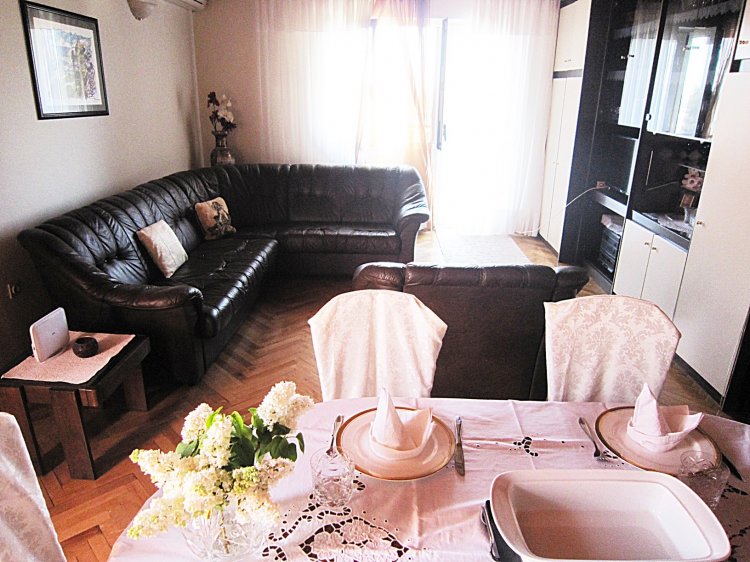 Suzy A2+2 (3000-SSP-A1)