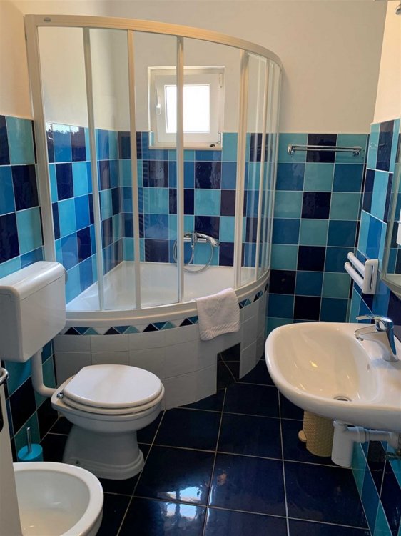 Apartment Skorin (2021-JPS-A1)