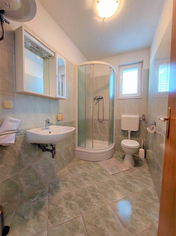 Apartment Mileva 6+1