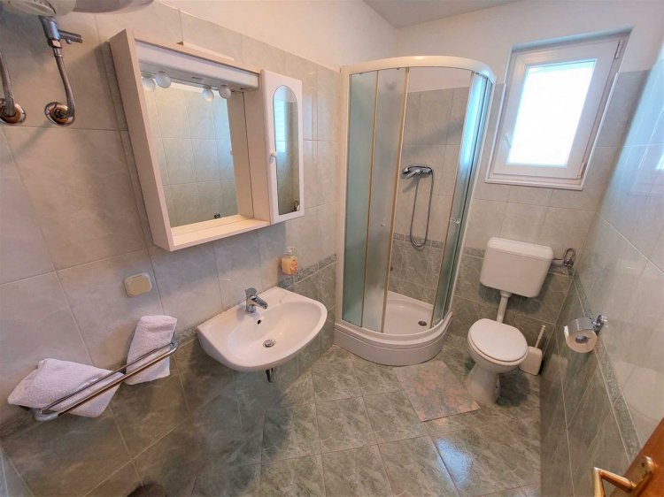 Apartment Mileva 6+1