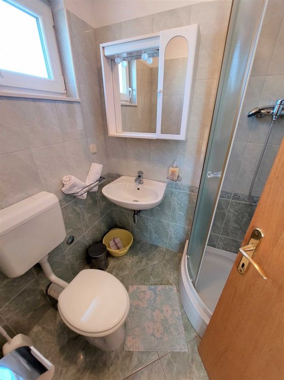 Apartment Mileva 6+1