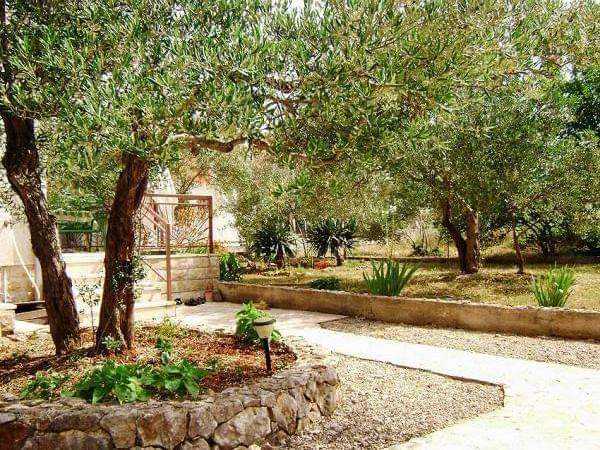 Apartment Vedris Srima A2