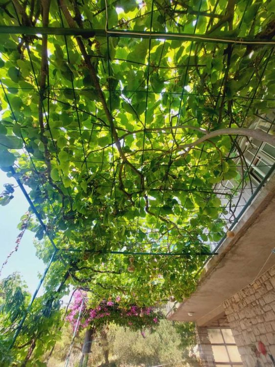 Apartment Anna A2 studio