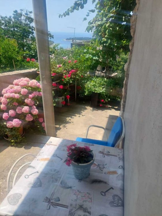 Apartment Anna A2 studio