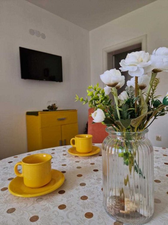 (1) Apartment Babun - A3 +1